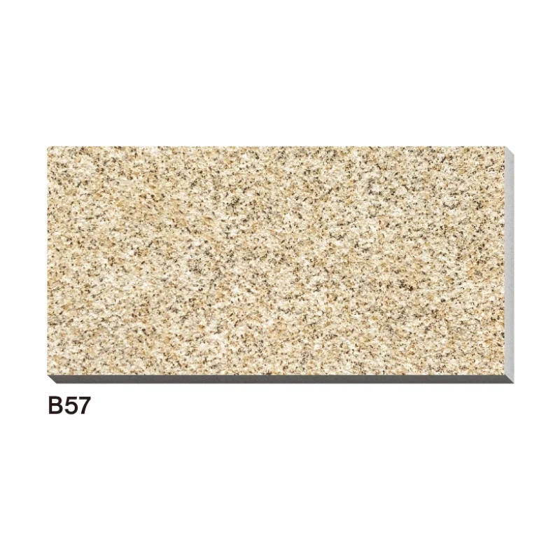 চীনামাটির বাসন Pavers আউটডোর